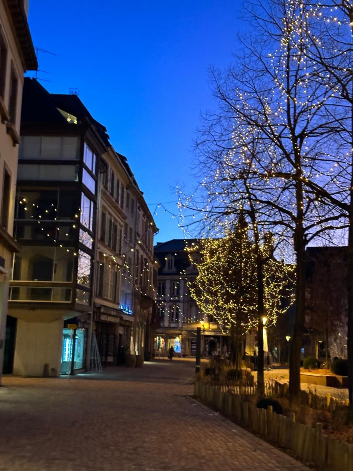 Appartement Le Muscat à Colmar Extérieur photo