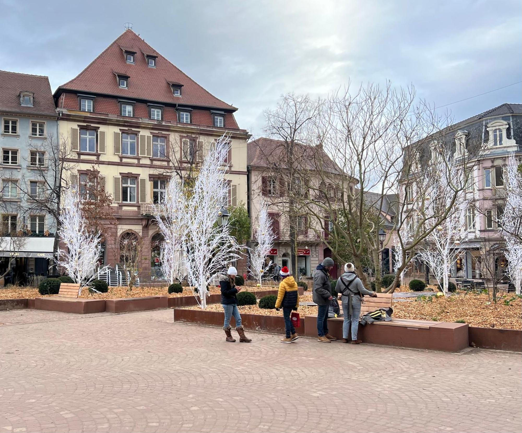 Appartement Le Muscat à Colmar Extérieur photo